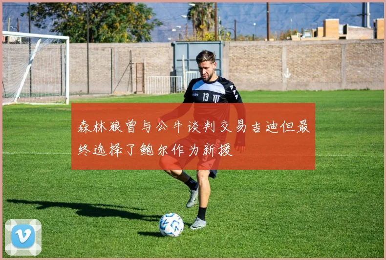 森林狼曾与公牛谈判交易吉迪但最终选择了鲍尔作为新援