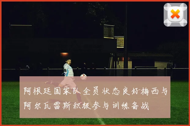 阿根廷国家队全员状态良好梅西与阿尔瓦雷斯积极参与训练备战